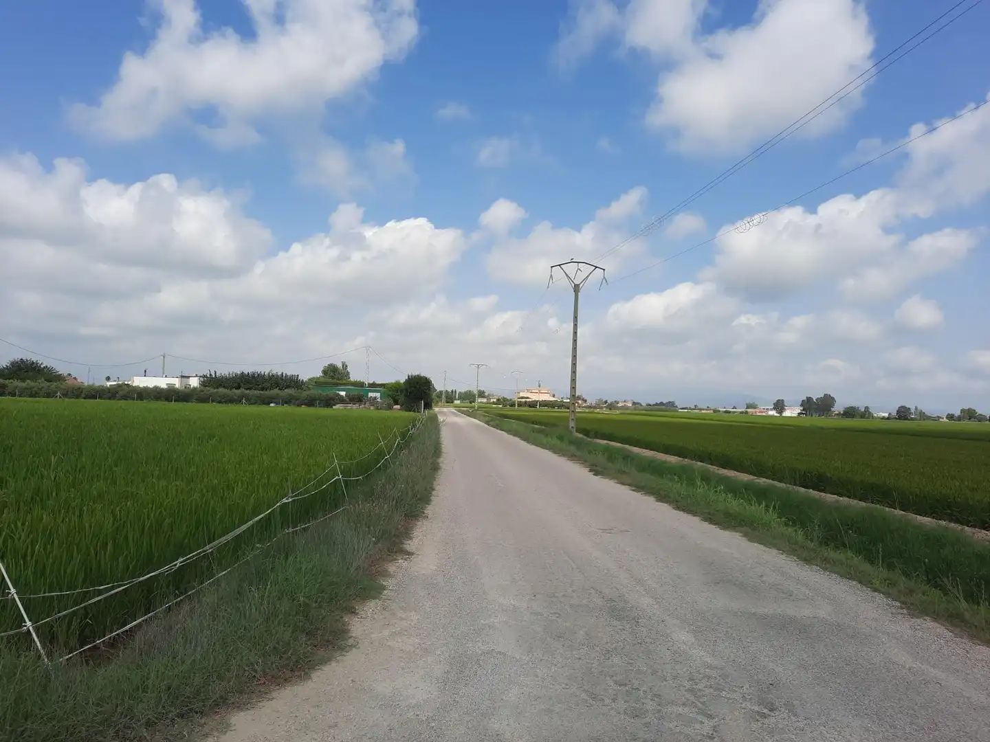 Terreny rústic en venda a Sant Jaume d'Enveja, imagen 17
