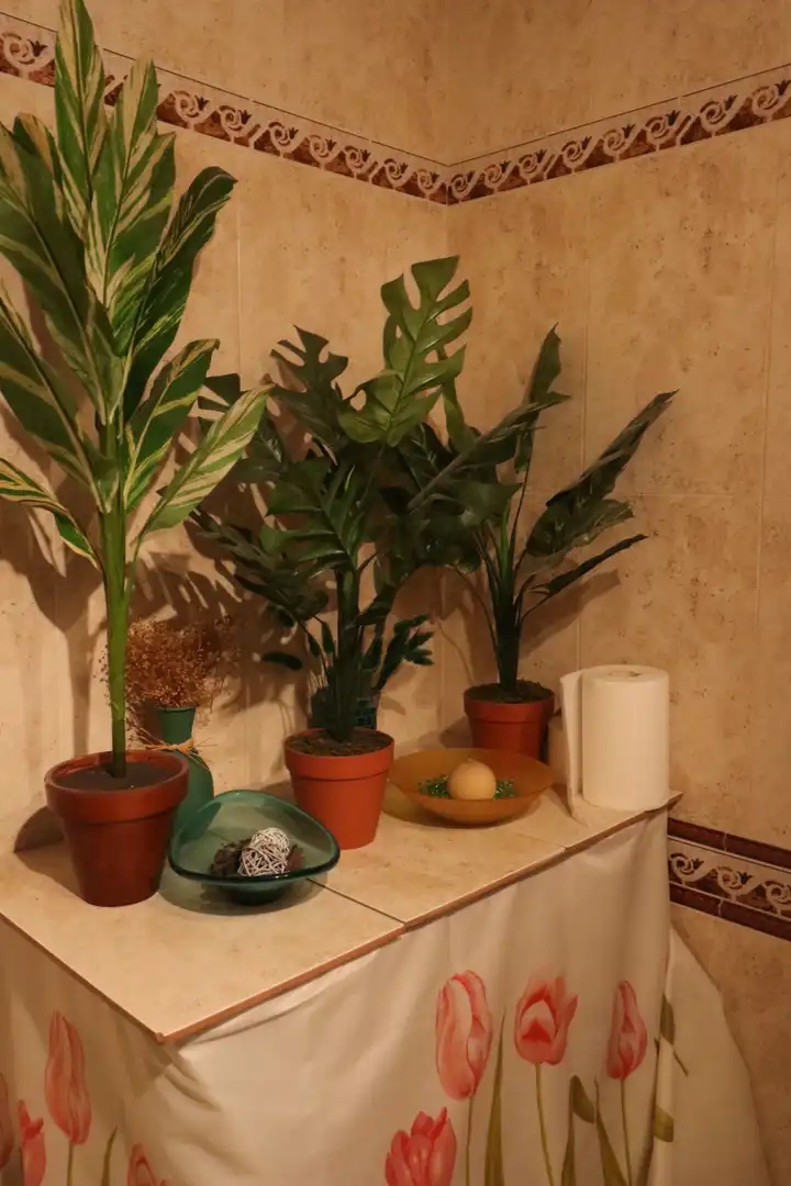 Garten von Geschaftsraum zum Verkauf in Sevilla mit Klimaanlage
