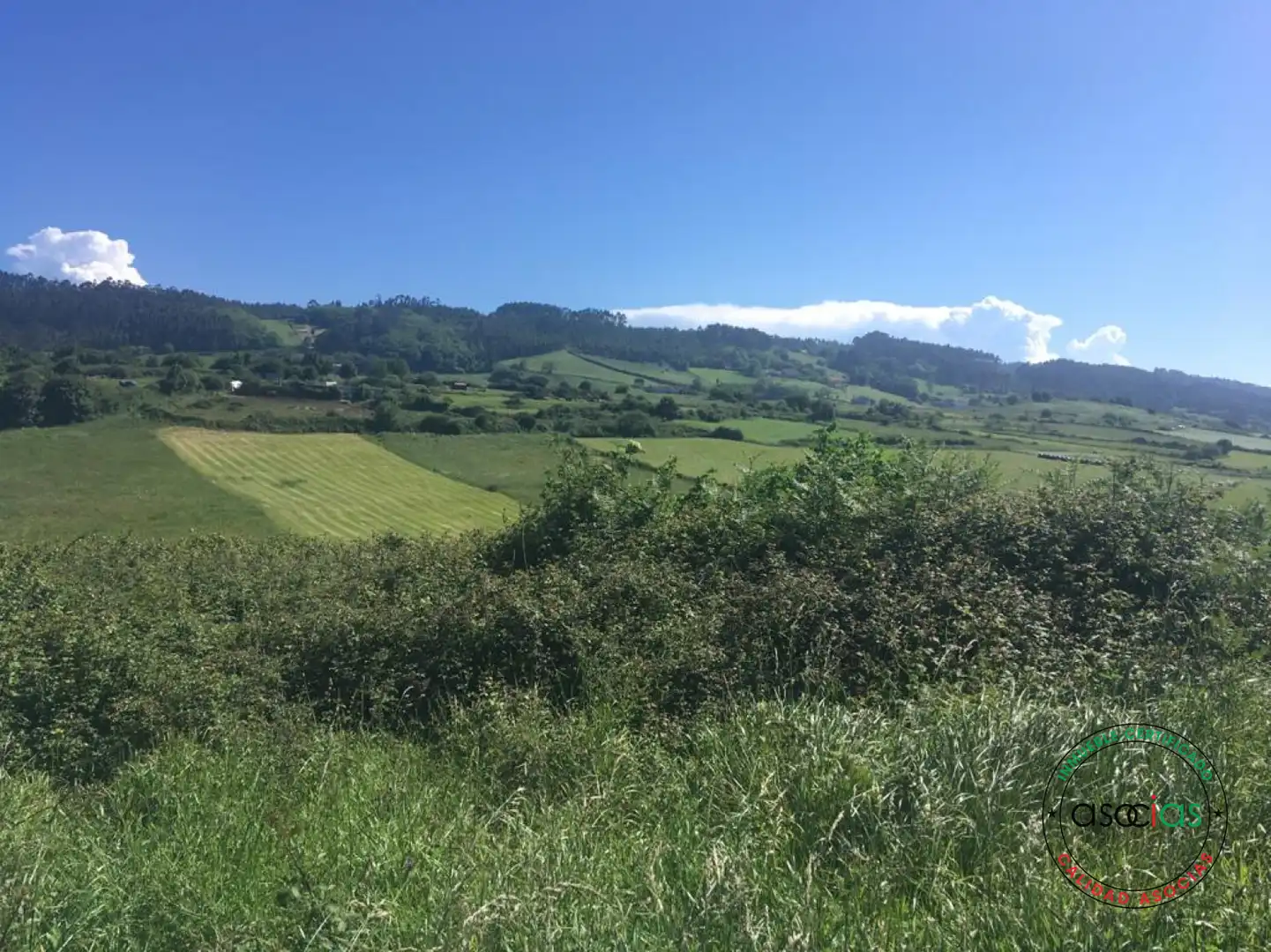Terreno rústico en venta en C GUIMARAN, imagen 6