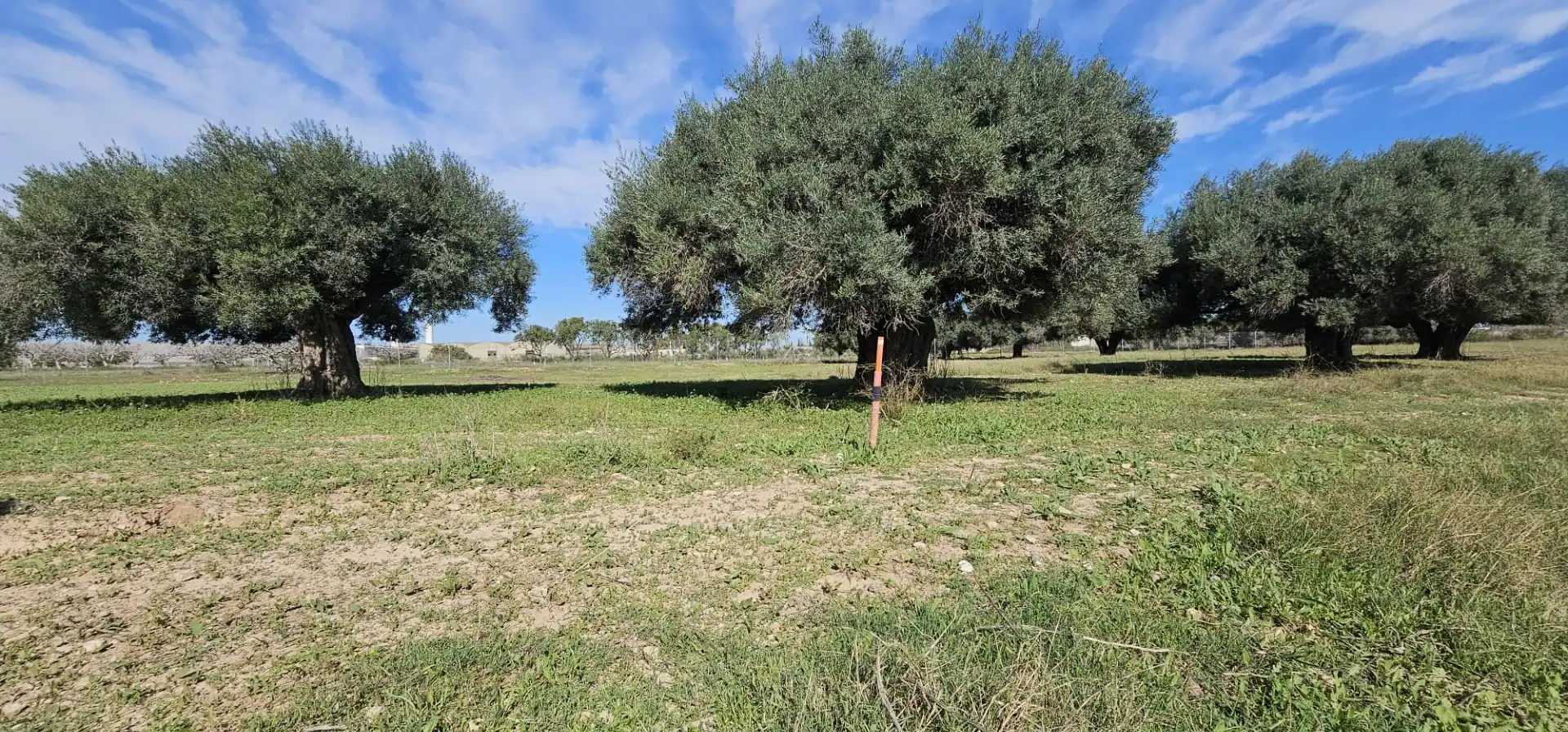 Terreno rustico in vendita a Lugar las Beatas 7, imagen 4