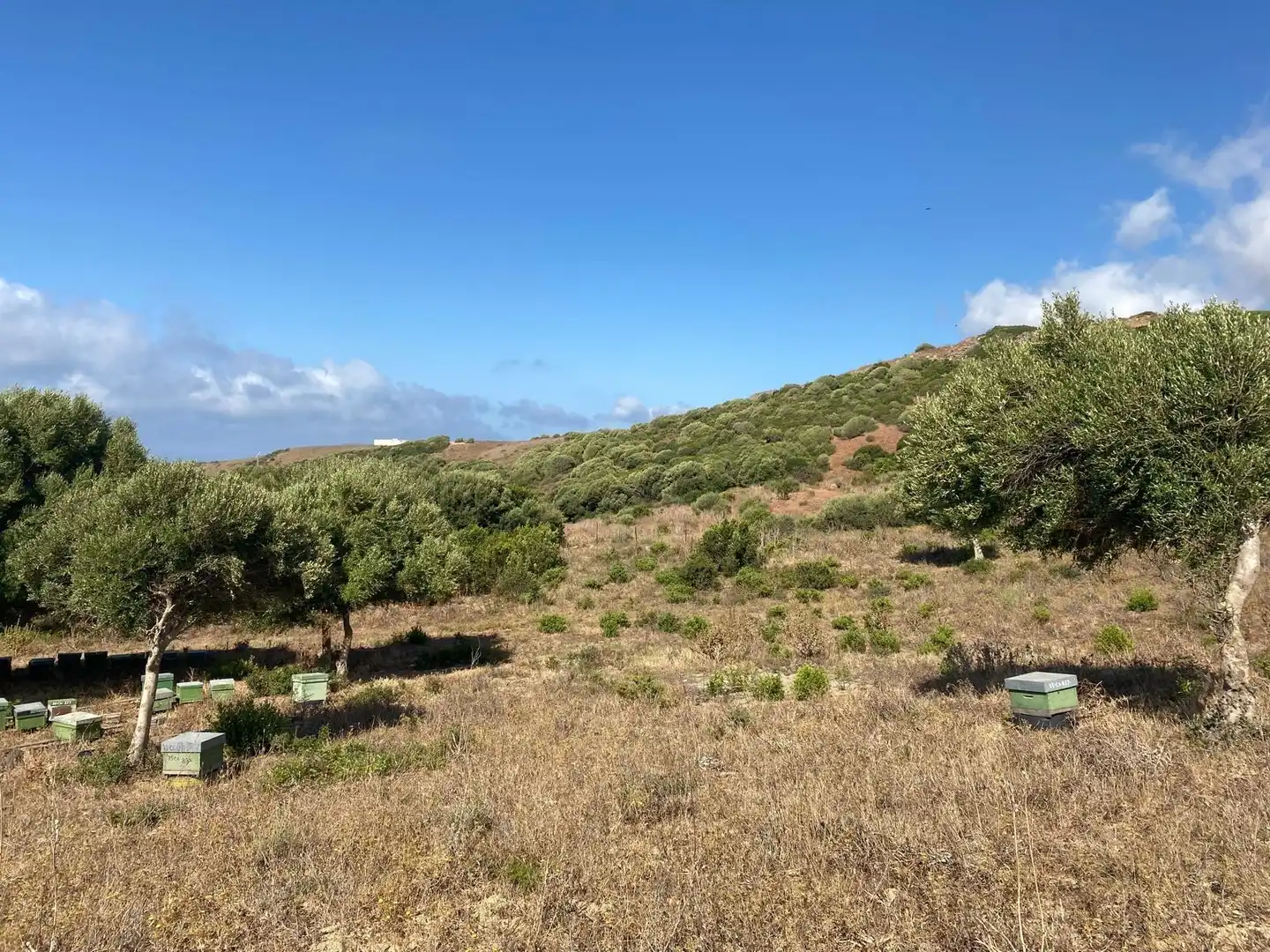 Casa rústica en venda a Tarifa ciudad, imagen 17