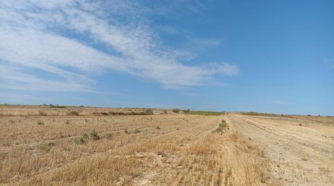 Photo 4 of Land for sale in Casarrubios del Monte pueblo, Toledo