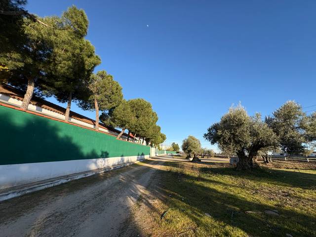 Nave industrial en Venta en N/A en Cedillo del Condado