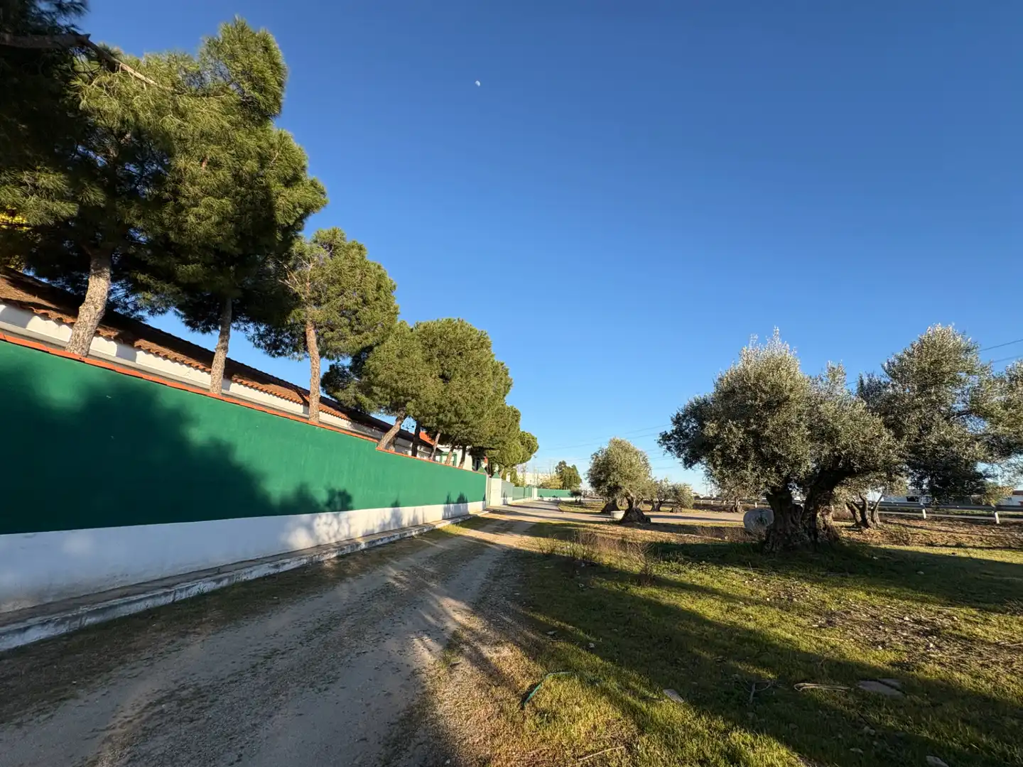 Nave industrial en venta en Cedillo del Condado con Alarma