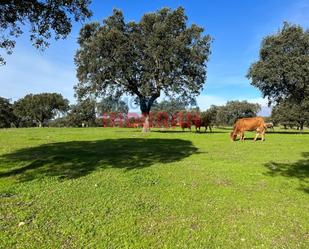 Exterior view of Country house for sale in Casatejada