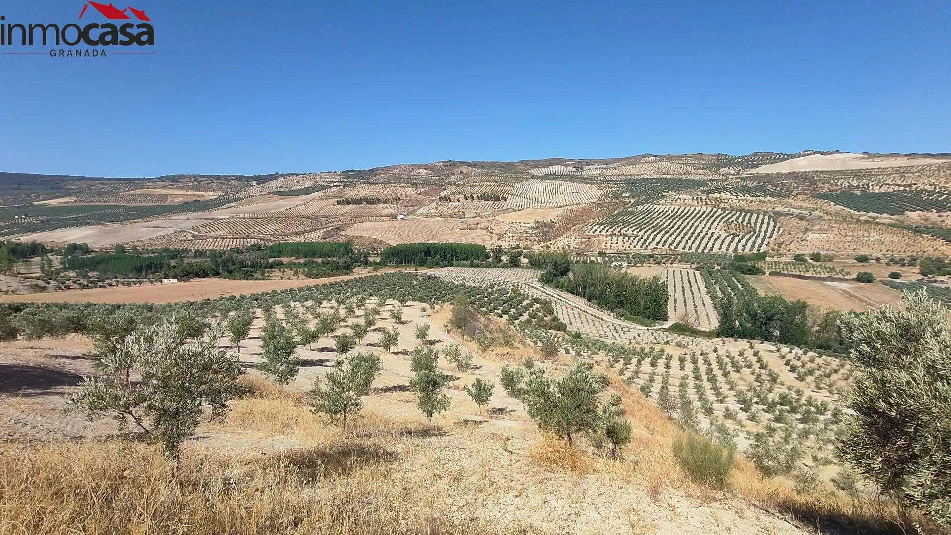 Rural land for sale in Santa Cruz del Comercio, imagen 3