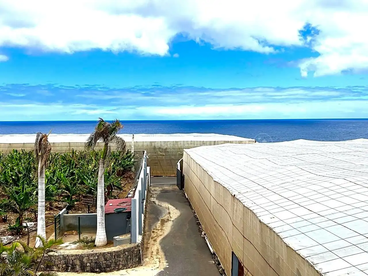 Vista exterior de Finca rústica en venta en Los Silos con Jardín privado y Terraza