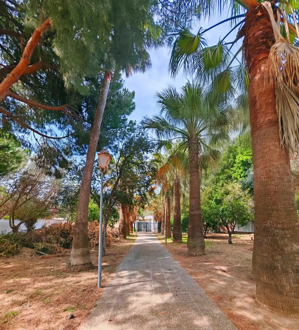 Vista exterior de Casa o xalet en venda en Chiclana de la Frontera amb Aire condicionat, Traster i Piscina