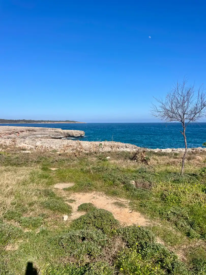 Detached homes for rent in S'Illot - Cala Morlanda