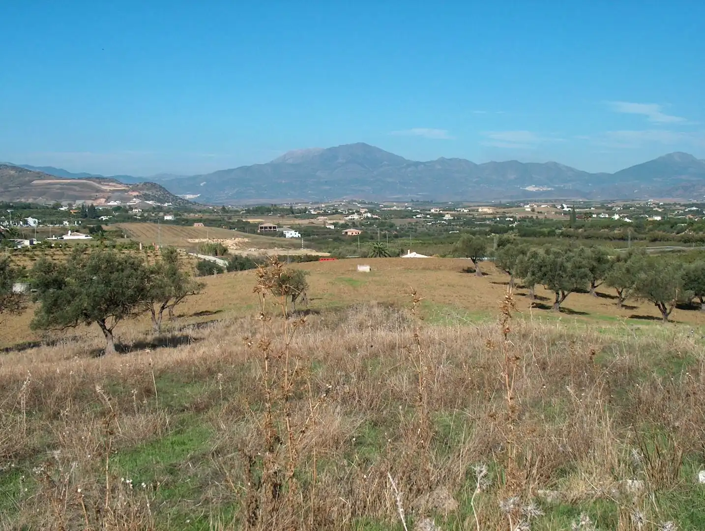 Terreni e lotti in vendita a Centro
