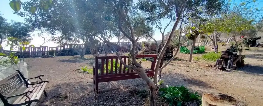 Terreno rustico in vendita a Arico, imagen 7