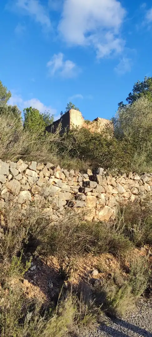 Terreny rústic en venda a de la masada, imagen 7