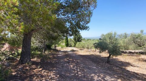 Foto 2 de Finca rústica en venta en N/a, Urbanitzacions, Tortosa