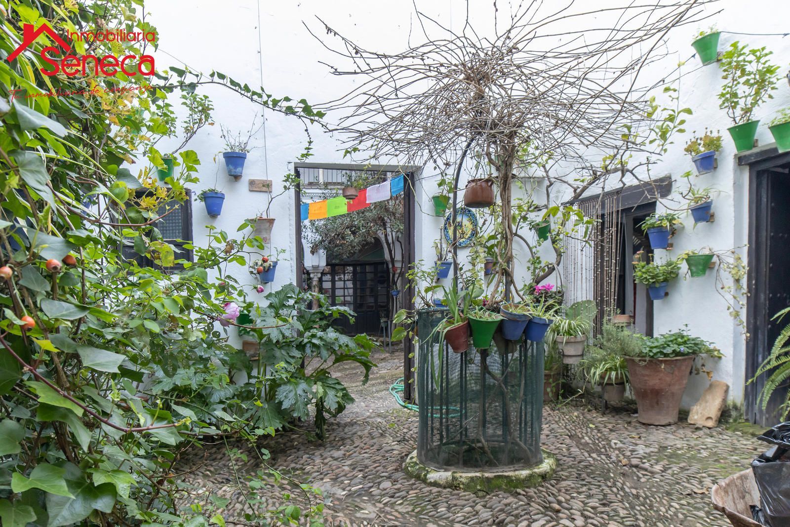 Garden of Flat for sale in  Córdoba Capital  with Terrace, Storage room and Balcony