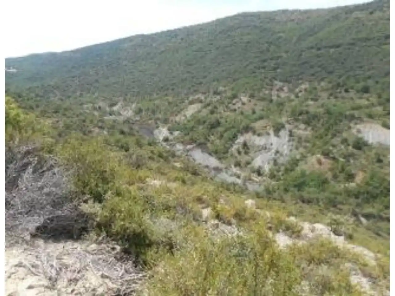 Terreno rústico en venta en Sector Agullo-AGER, imagen 6