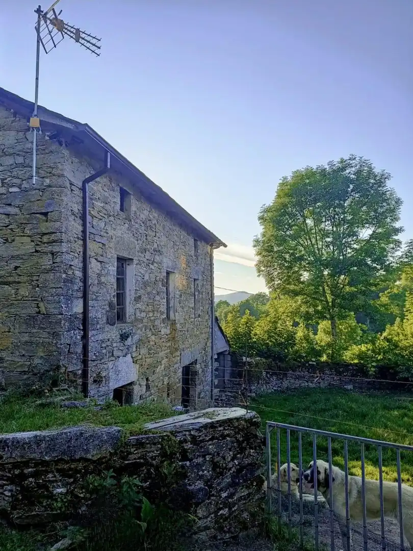 Vista exterior de Casa o chalet en venta en Pedrafita do Cebreiro con Calefacción
