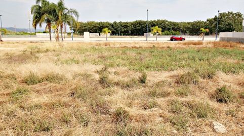TERRENO URBANO EN PLAYA MIRAMAR, immagine 5