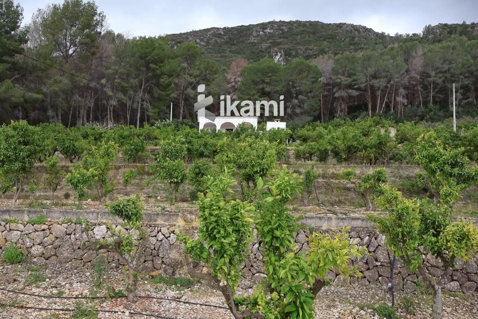 Casa o xalet en venda a Pego