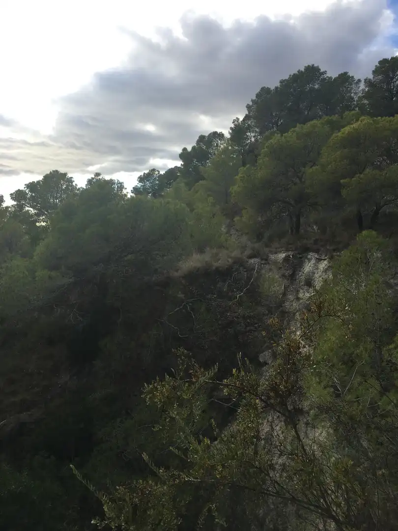 Rural land for sale in Pt Anton, Polig 5, Parcela 11, imagen 5