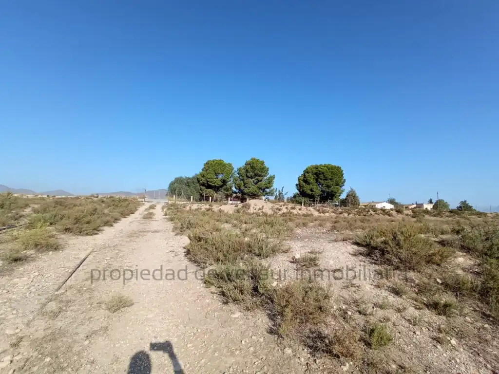 Country homes for sale in Lorca