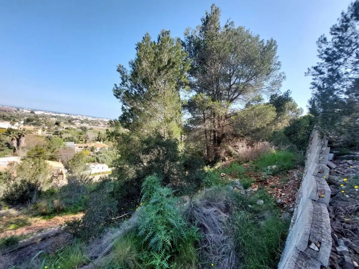 Terreny residencial en venda a La Pedrera - Vessanes, imagen 19