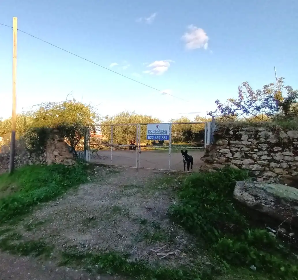 Terreni e lotti in vendita a Carretera Valverde de Mérida 101, imagen 3