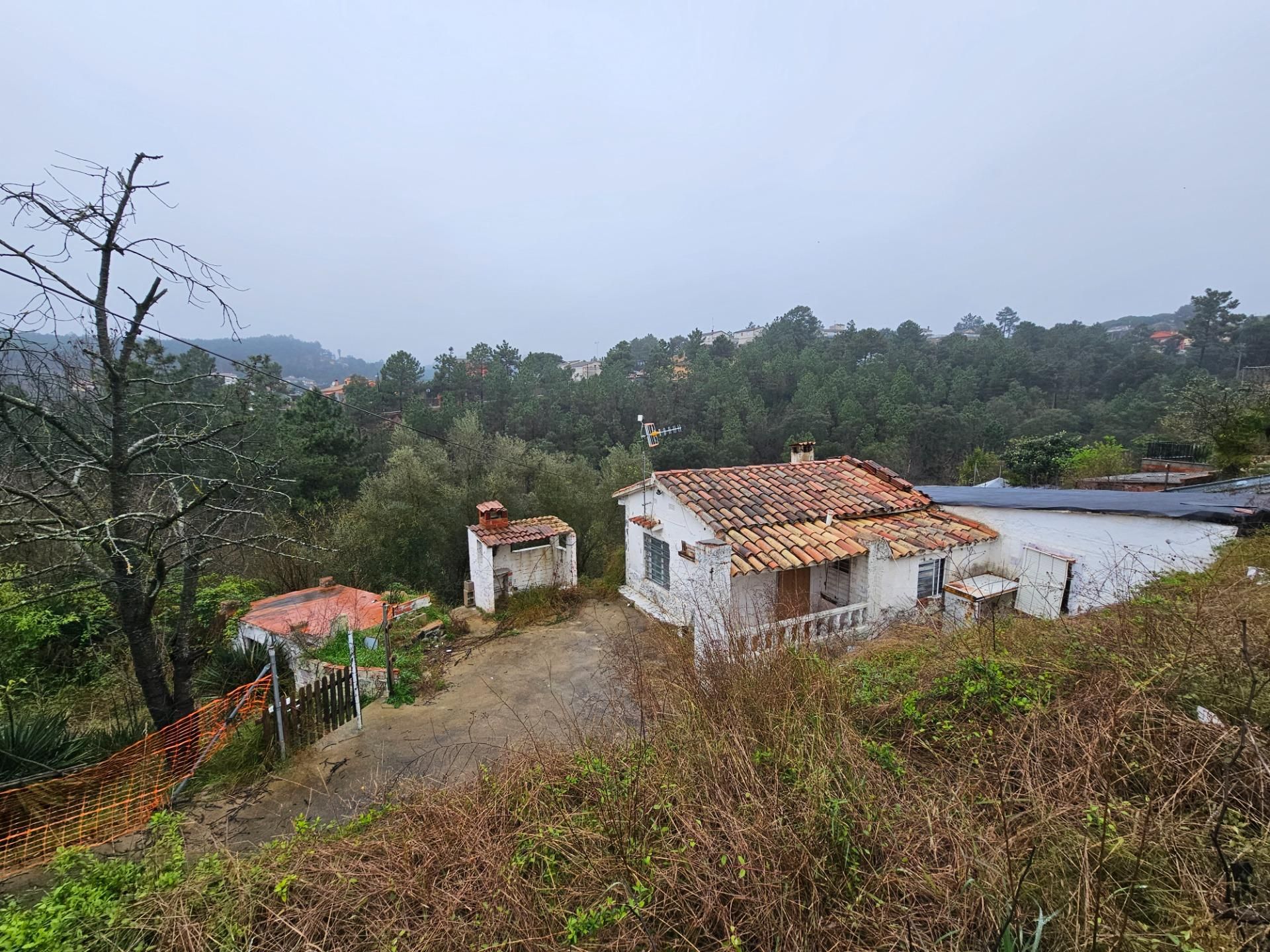Exterior view of House or chalet for sale in Riudarenes  with Private garden and Swimming Pool