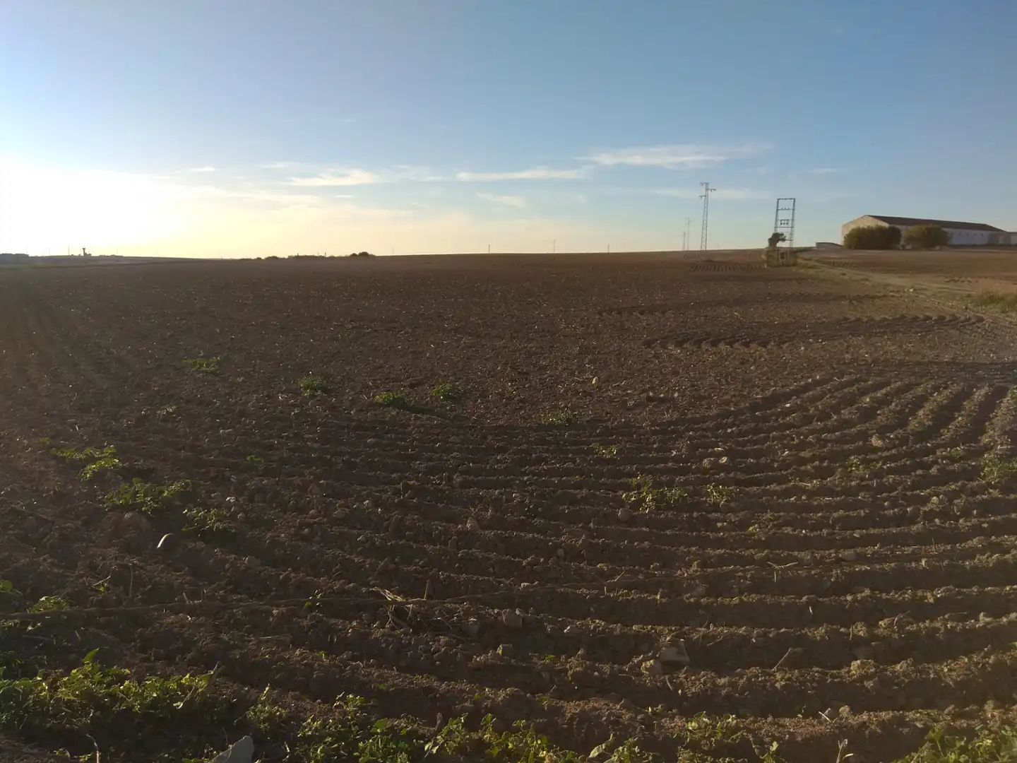 Terreno en venta en Almonte