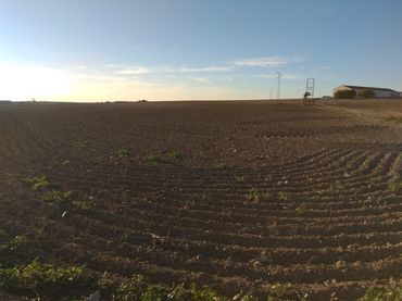 Terreno rustico in vendita a Sector-M