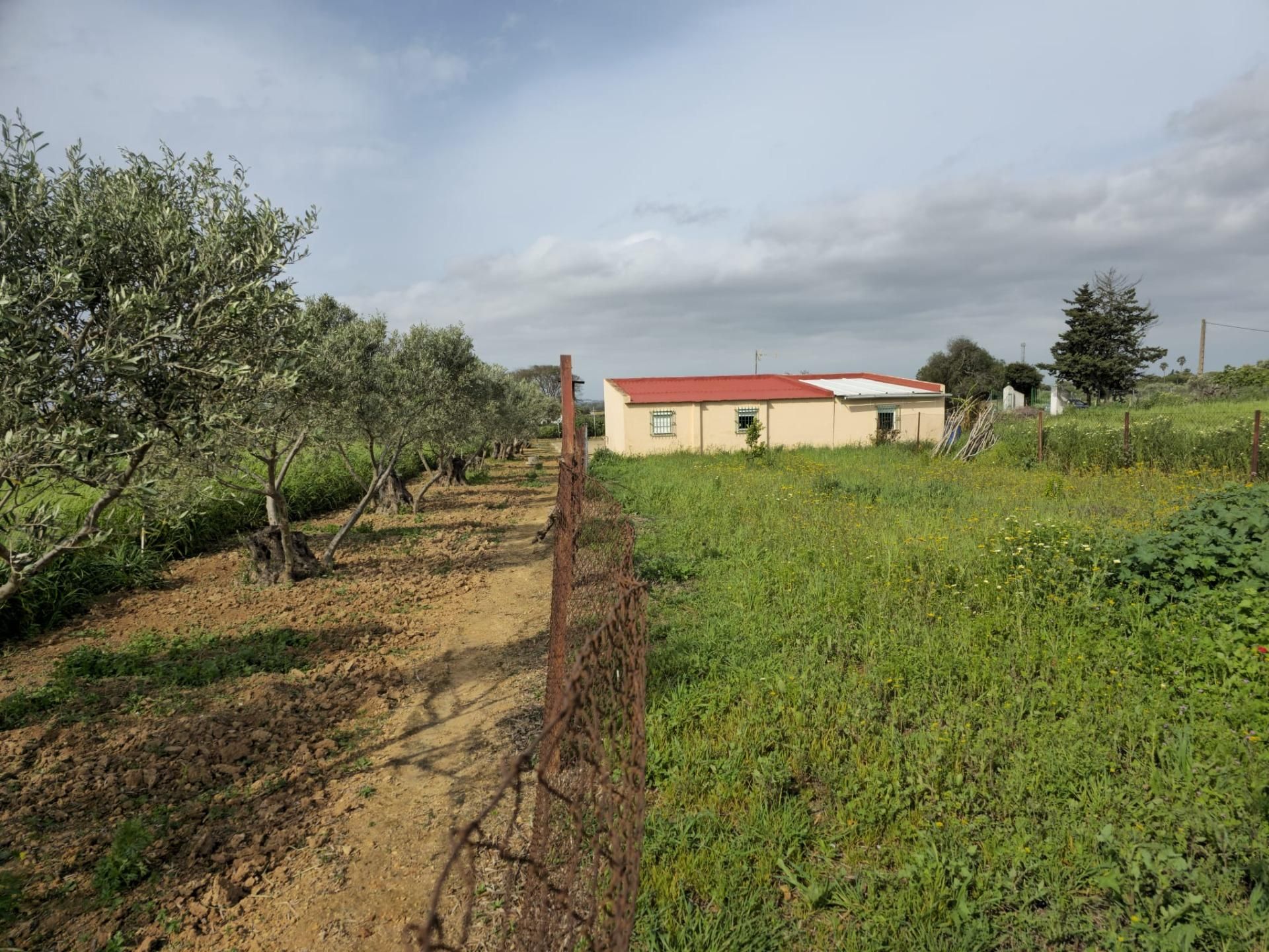 Finca rústica en venda en Puerto Real amb Traster