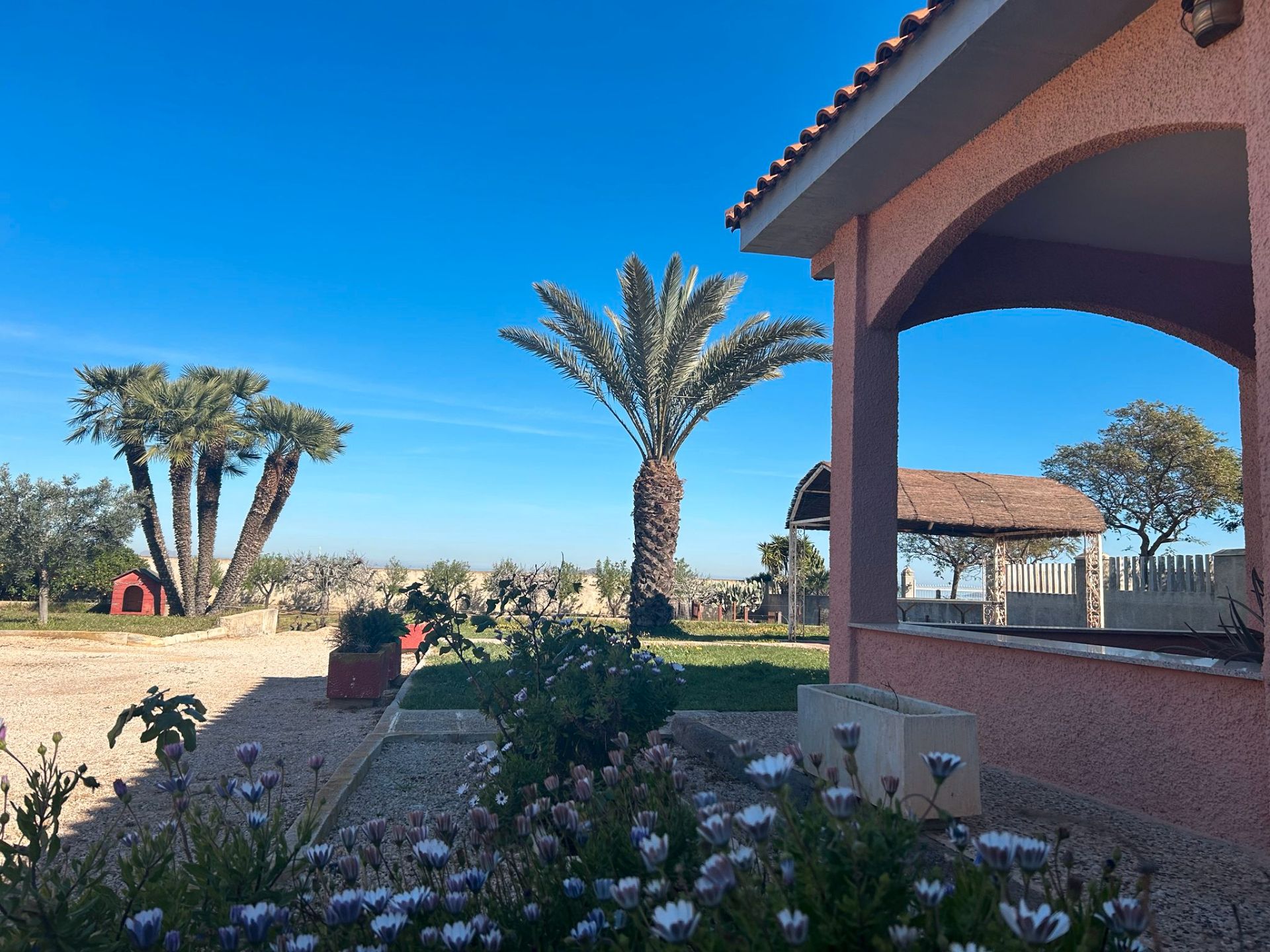 Jardín de Finca rústica en venta en Cartagena con Jardín privado, Terraza y Trastero