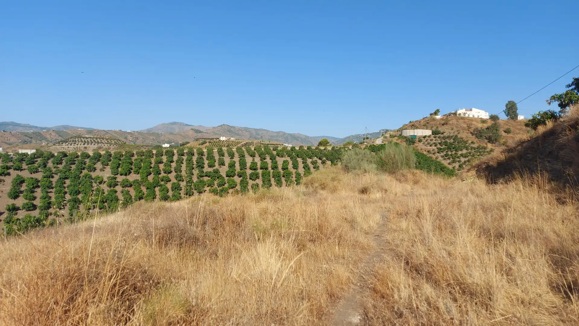 Terrain rustique à vendre à Vélez-Málaga ciudad