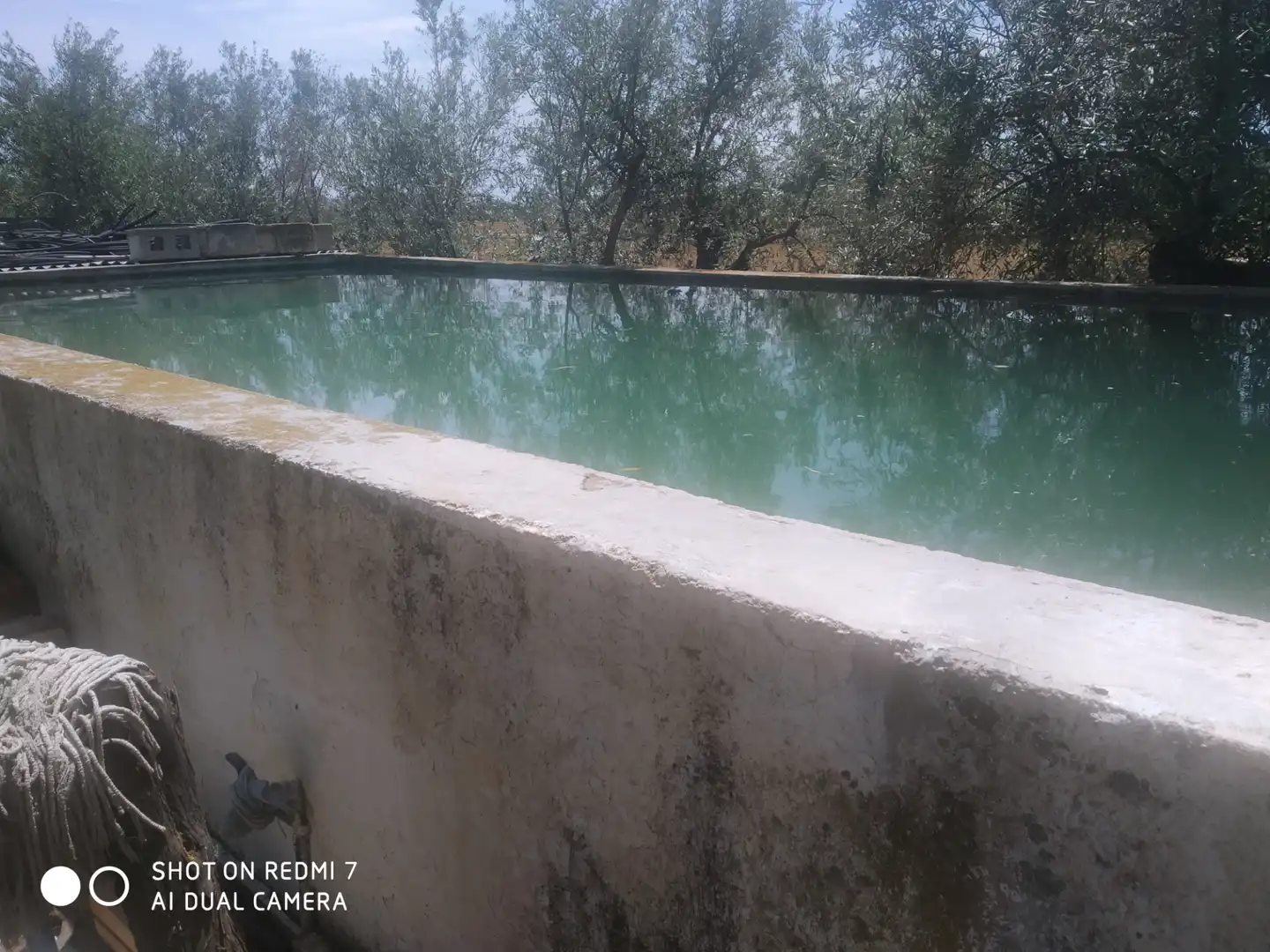 Chalet en venta en Lugar Cortijo Salomon, imagen 4