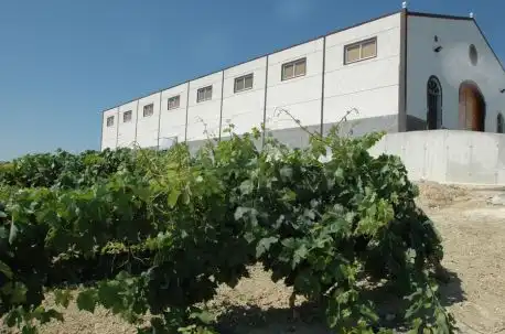 Rural land for sale in Santiago - Coronación, imagen 8