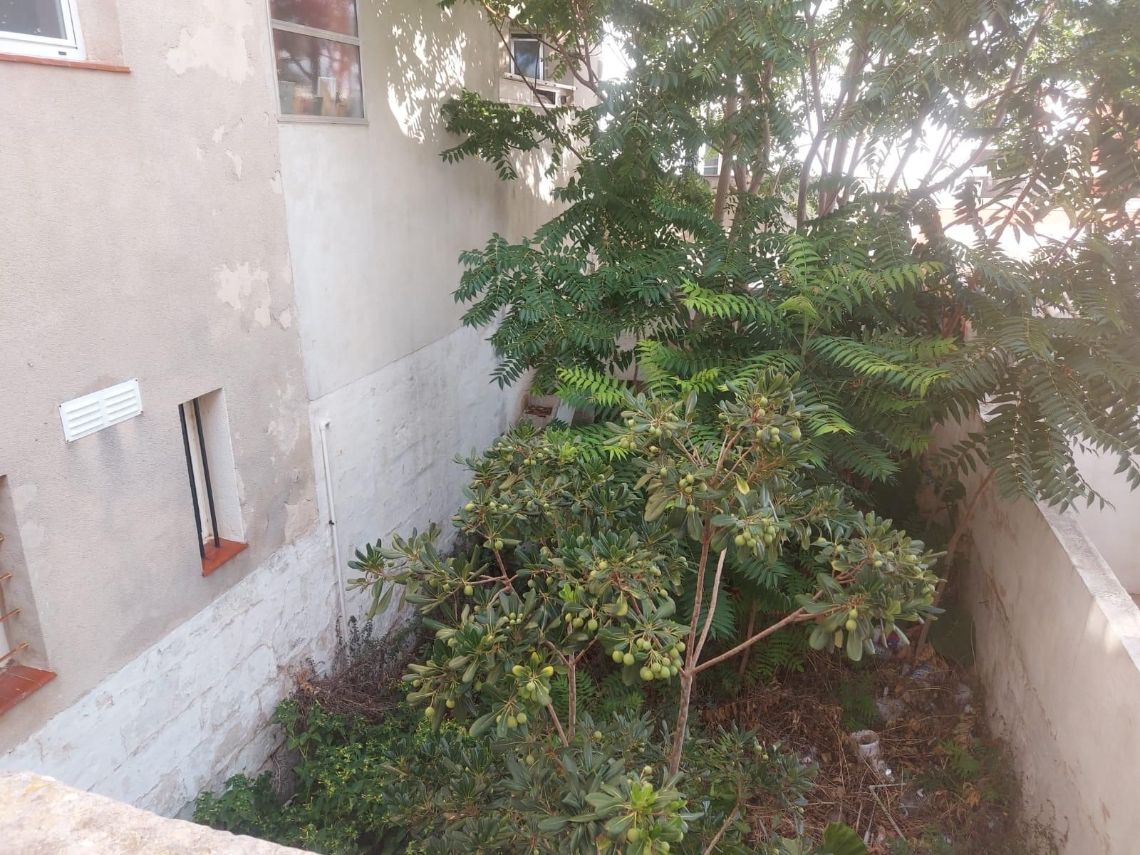 Jardí de Edifici en venda en Maó