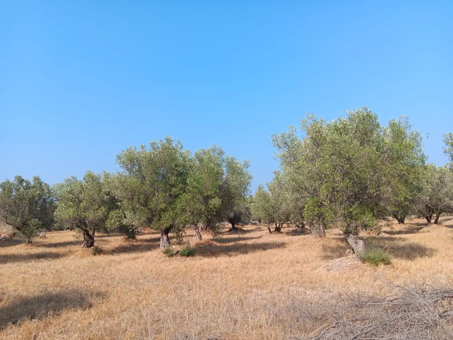 Residencial en venta en Tortosa