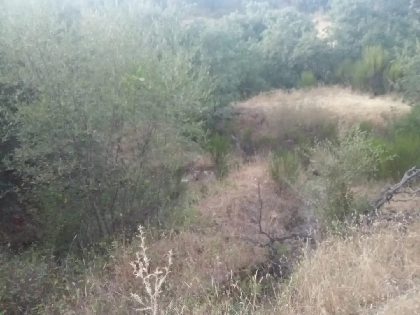 Residential land for sale in Valdenuño Fernández, imagen 9