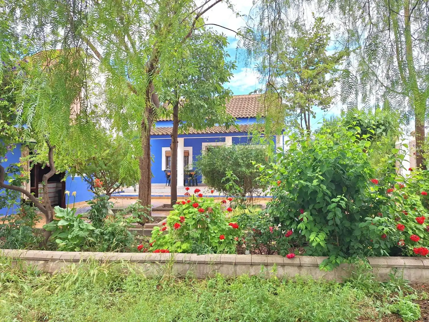 Finca rústica en venda a Sangonera la Seca