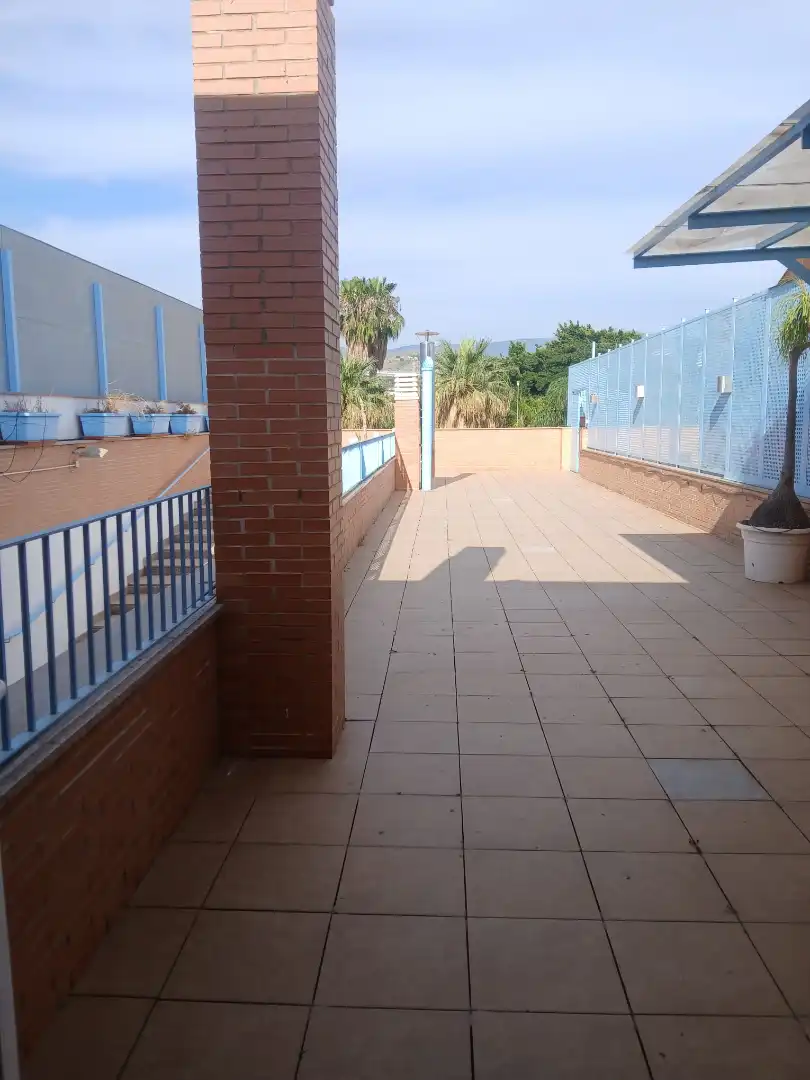 Local comercial de lloguer a Avenida Rambla de los Álamos, imagen 8