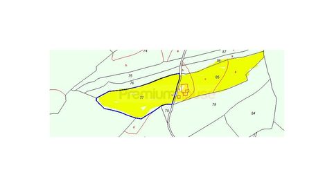 Foto 4 de Finca rústica en venta en Partida el Manou, Alforja, Tarragona