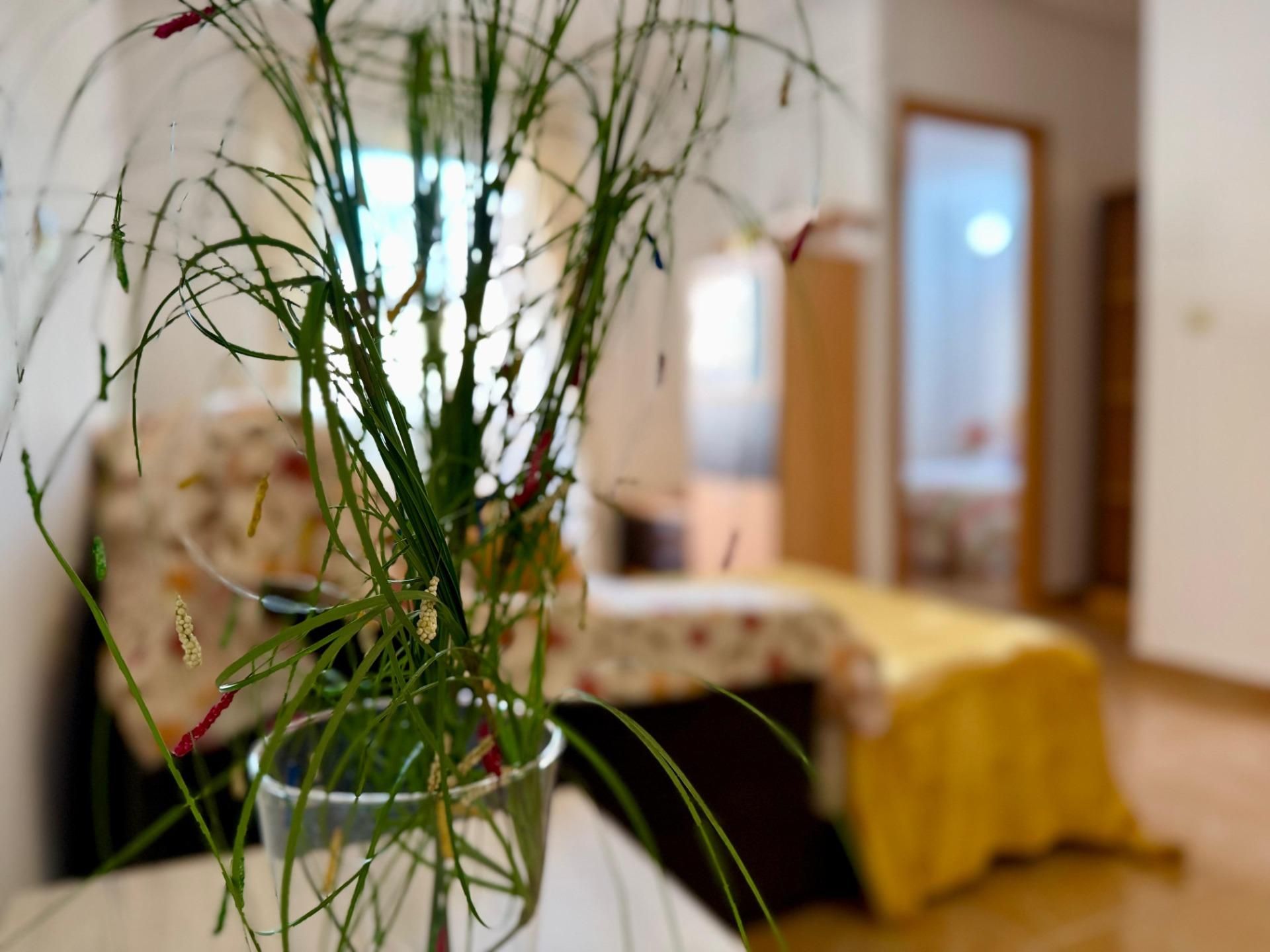 Jardí de Apartament en venda en Torrevieja amb Terrassa, Moblat i Piscina comunitària