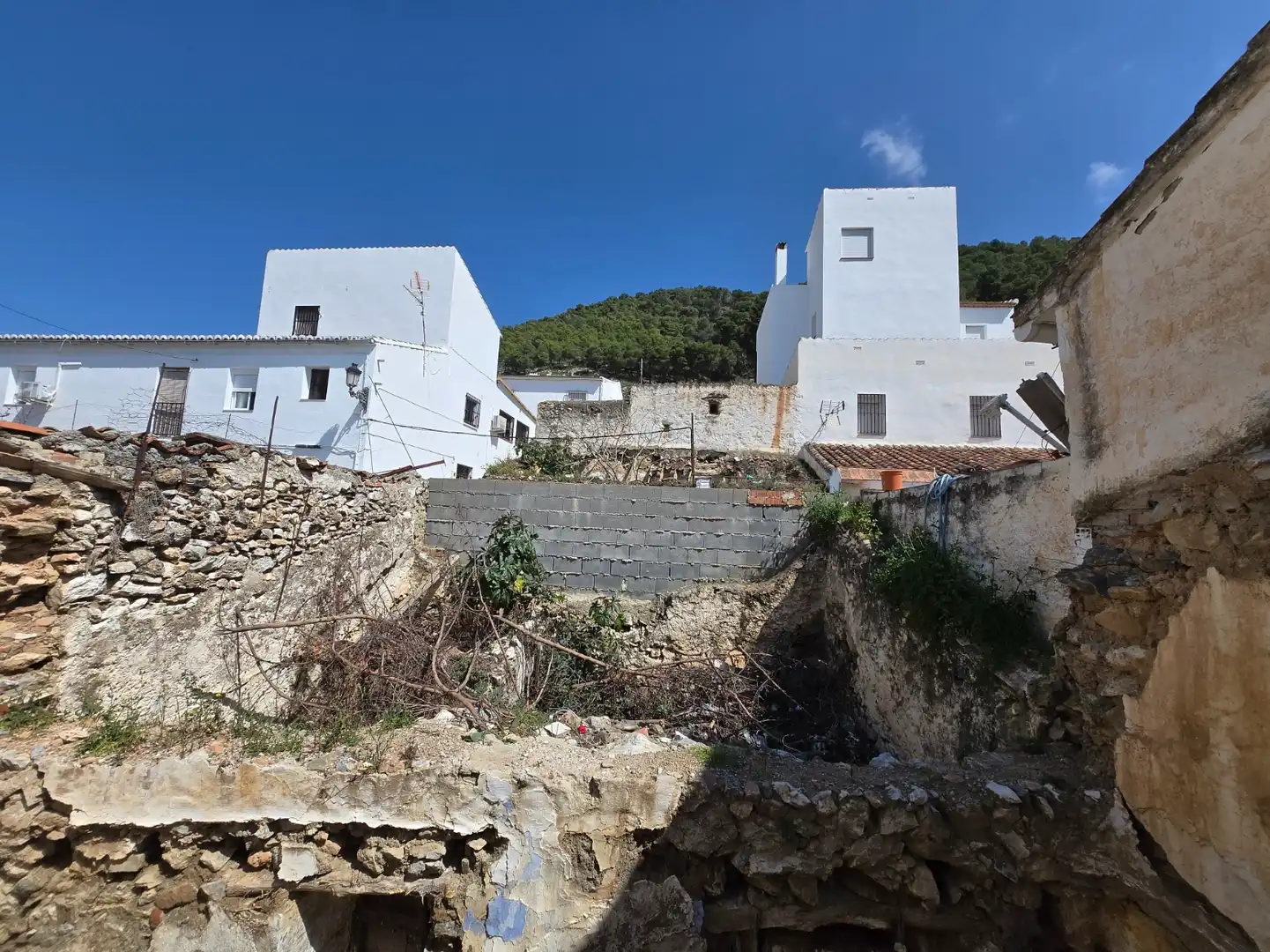 Finca rústica en venta en Alcaucín