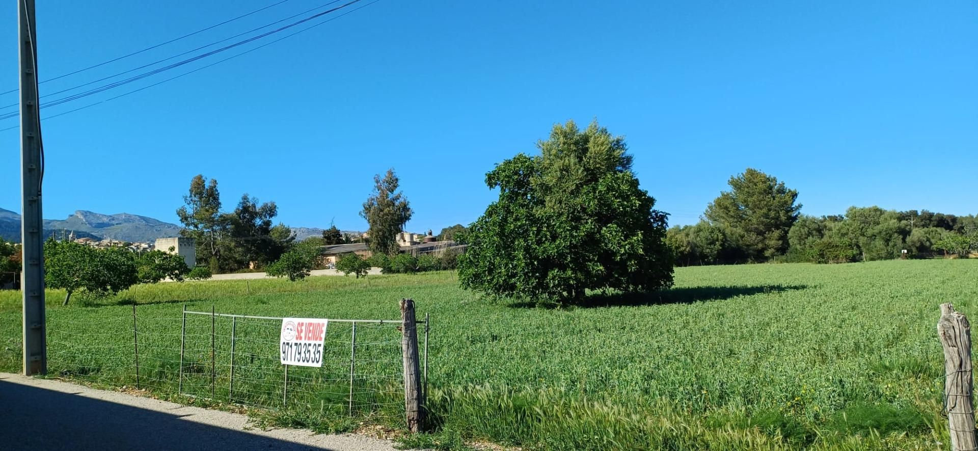 Land for sale in Búger