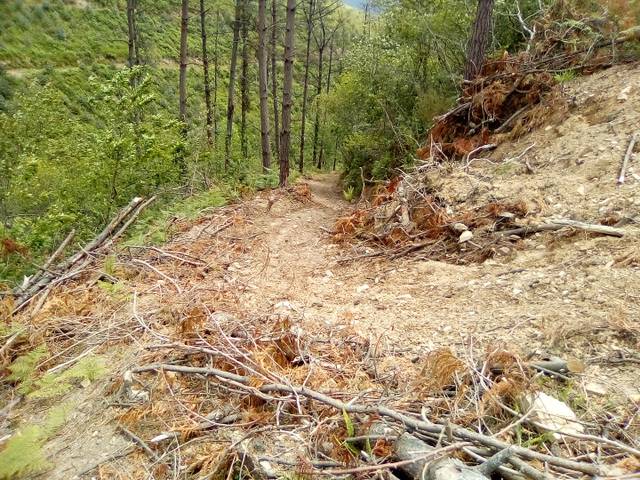 Terreno en Venta en Eleizkale Kalea, 10 en Aulesti