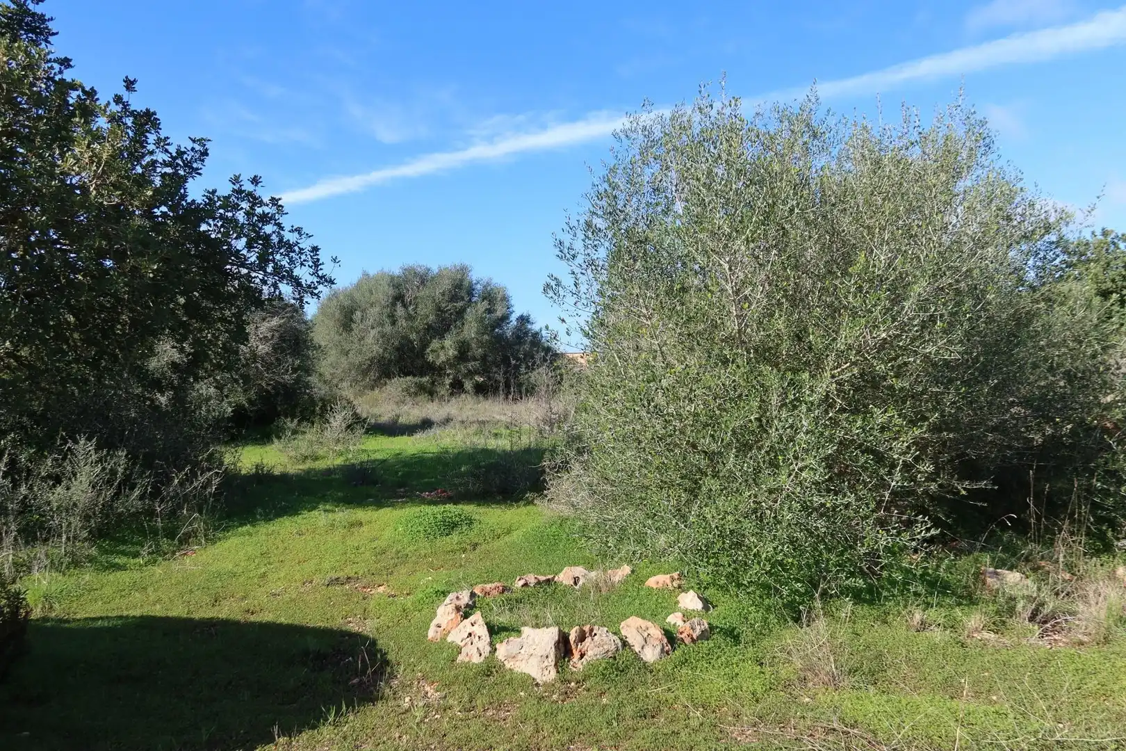 Residential land for sale in Campos poble, imagen 4