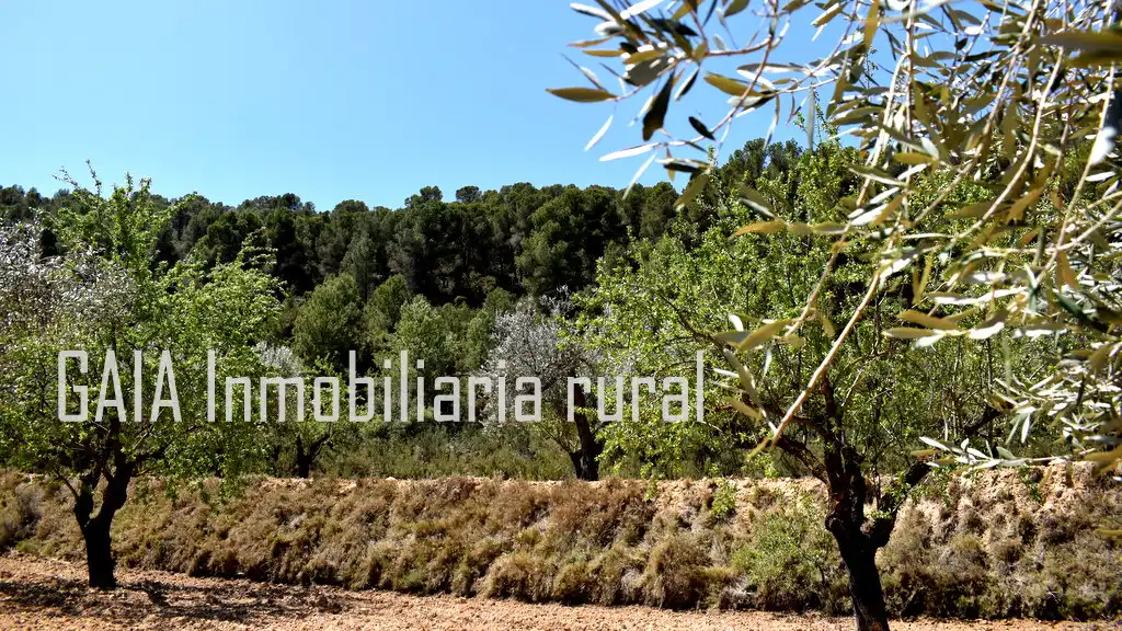 Finca rústica en venta en Mazaleón