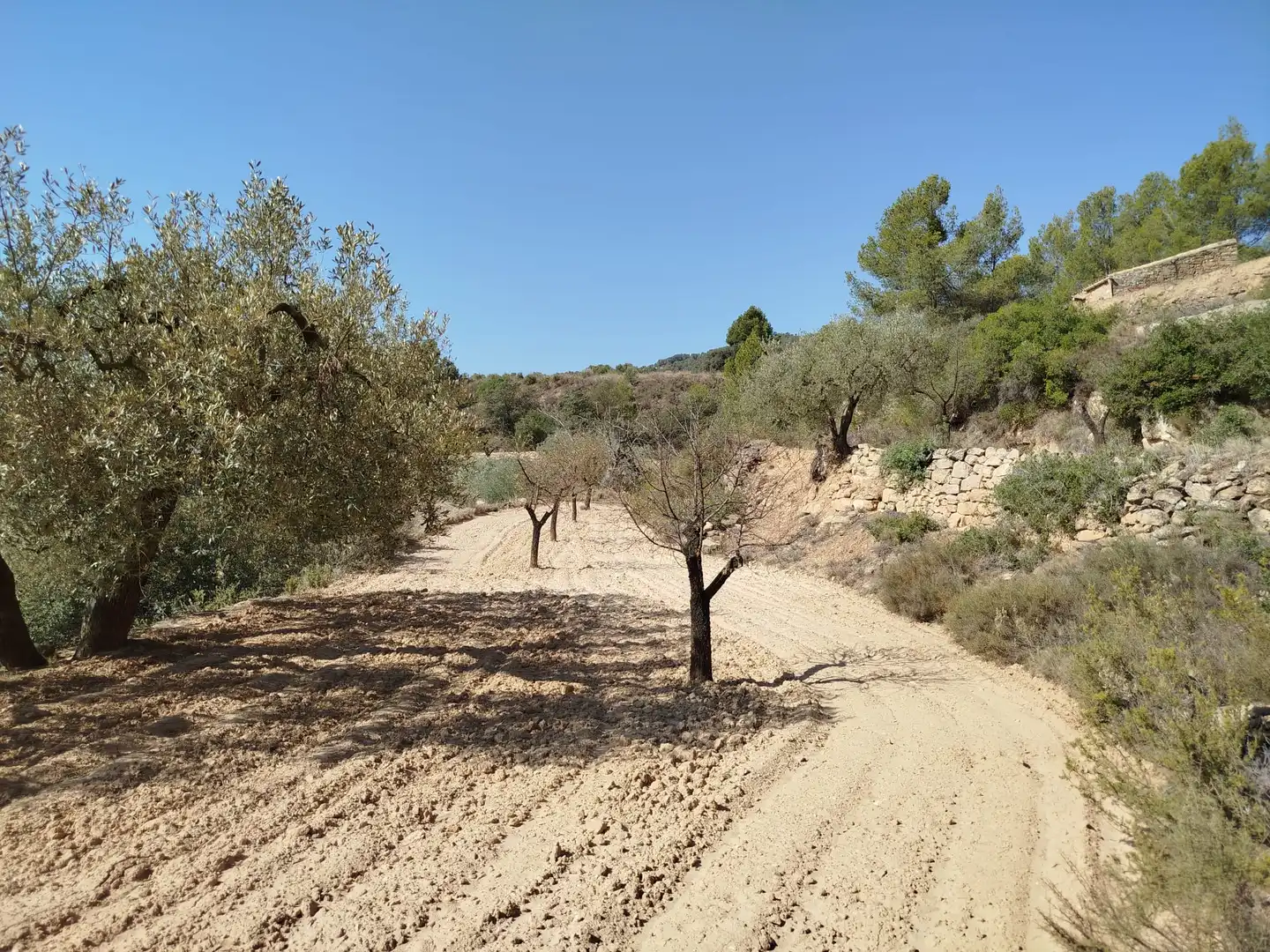 Rural land for sale in Horta de Sant Joan, imagen 5
