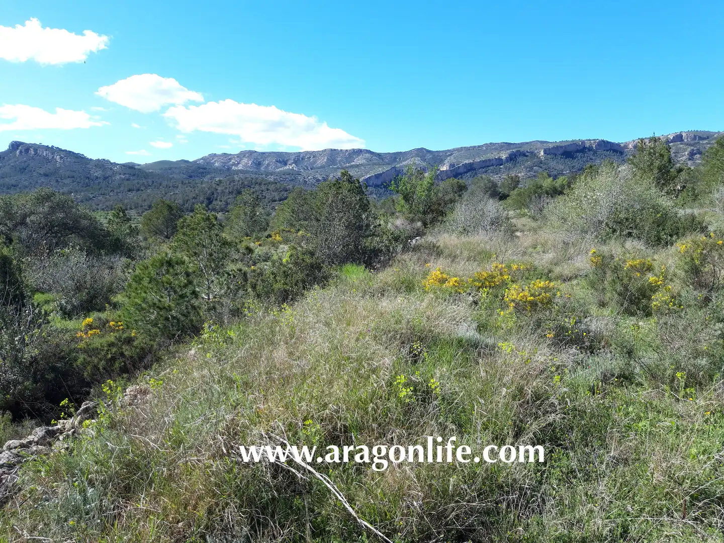 Rural land for sale in C-43, imagen 5