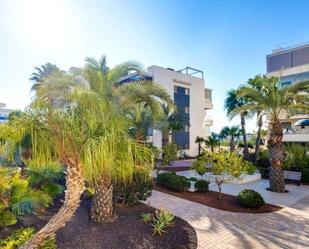 Jardí de Apartament en venda en Orihuela amb Aire condicionat, Terrassa i Piscina comunitària