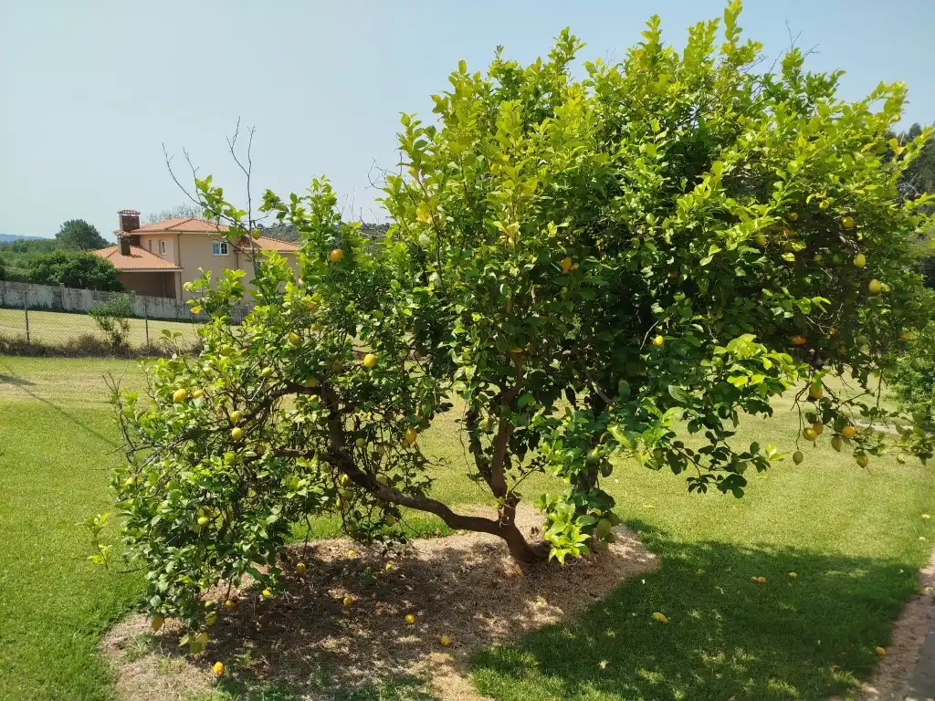 Haus zum Verkauf in Carretera San Xiao, imagen 7